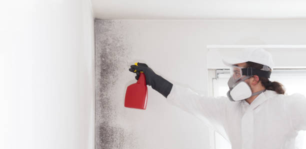 Best Emergency Mold Removal  in Hartford, AL